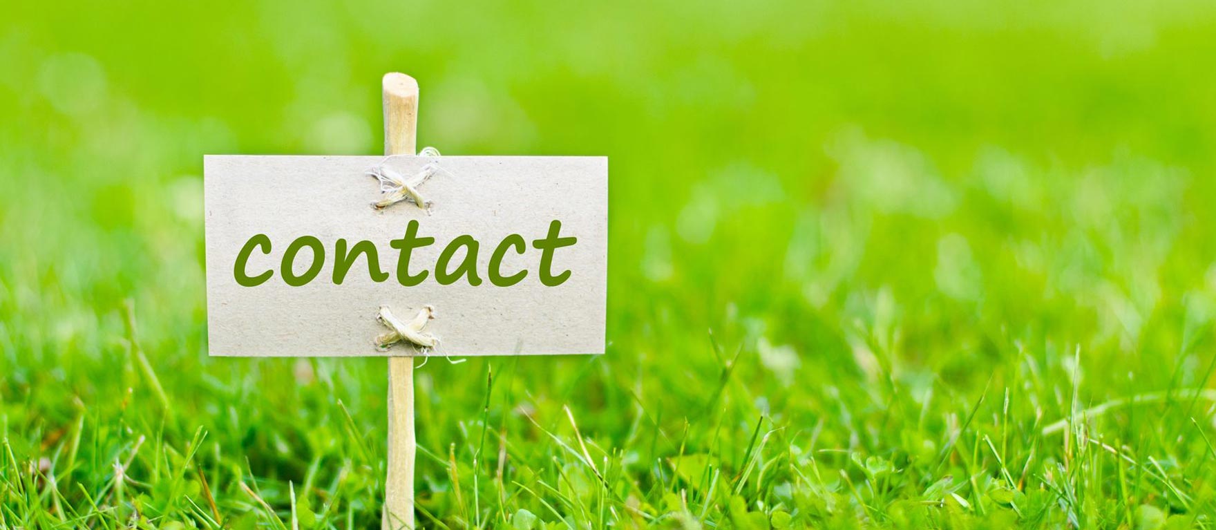 Contacto